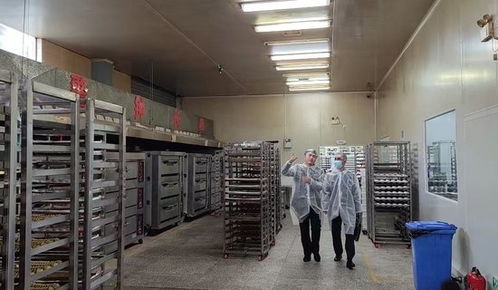 面包工厂会有哪些安全生产风险 记者随执法队员实地探访